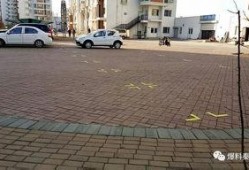 家园小区爆料视频最新,揭秘神秘事件真相！